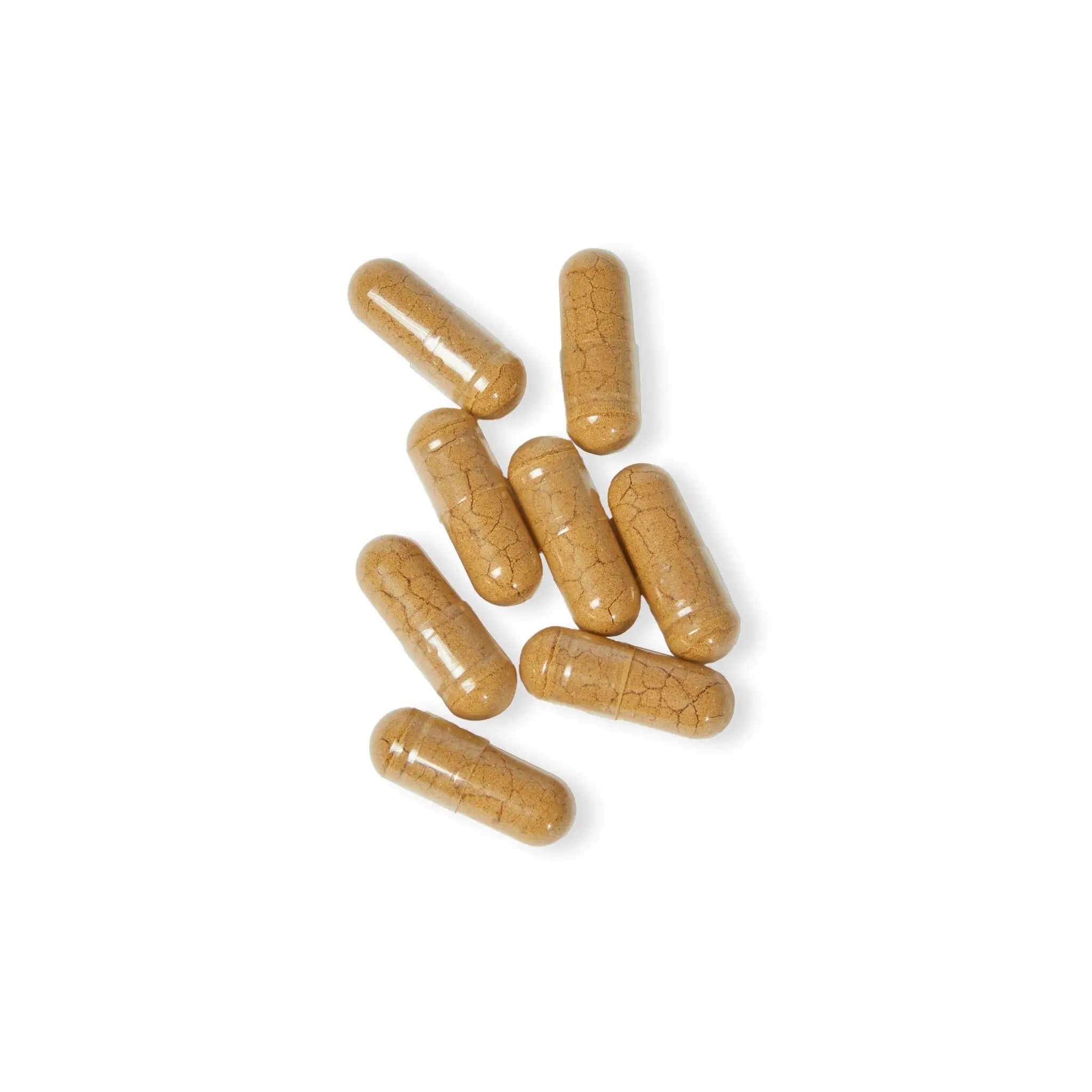 Our Sacred Mushroom Blend Supplement (60 Capsules) Printify